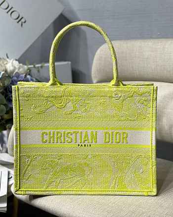 DIOR BOOK TOTE SMALL M1286 08