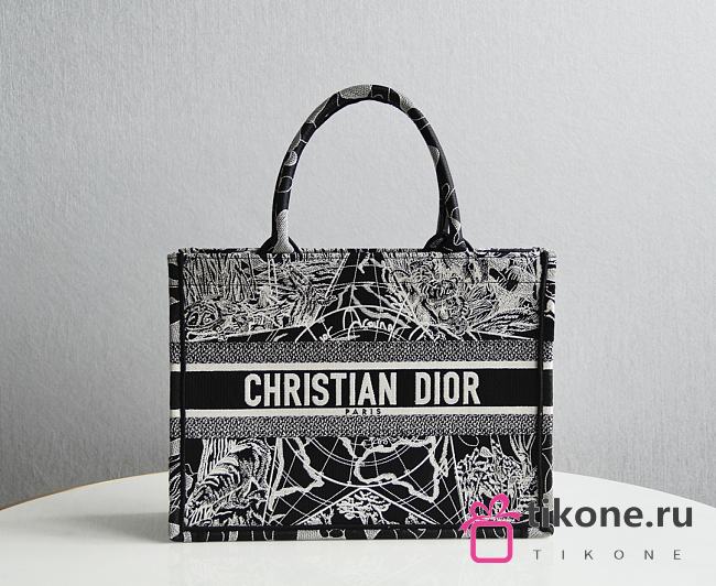 DIOR BOOK TOTE SMALL M1286 09 - 1