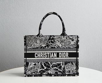 DIOR BOOK TOTE SMALL M1286 09