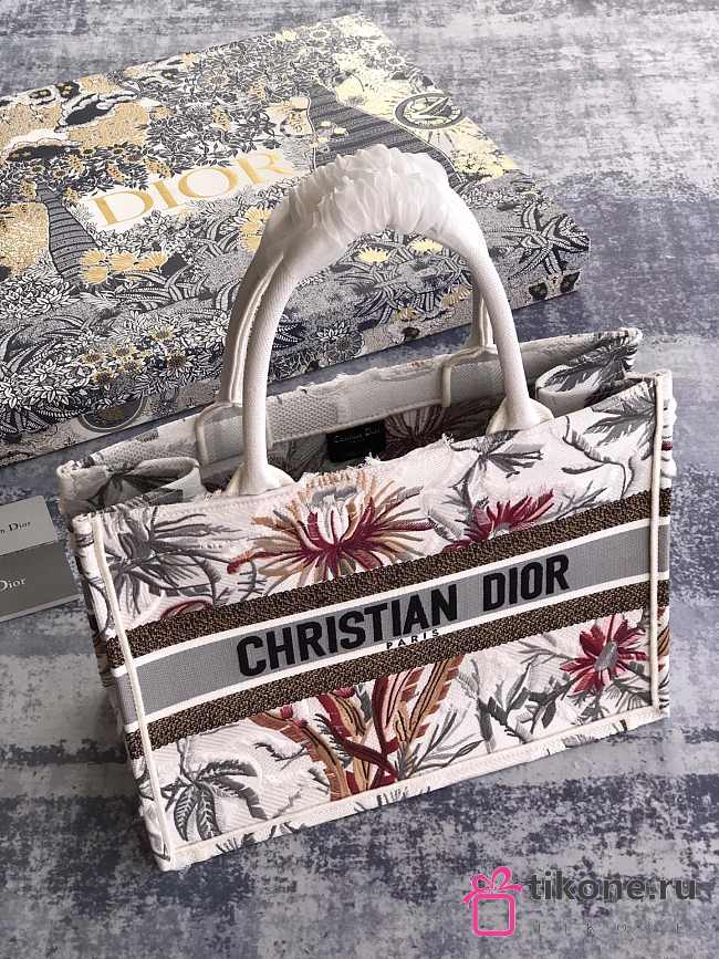 dior tote small