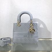 DIOR MEDIUM LADY D-LITE BAG 04 - 1