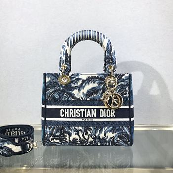 DIOR LADY D-LITE BAG M0565 03