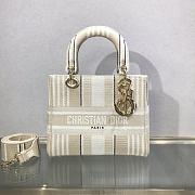 DIOR LADY D-LITE BAG M0565 05 - 1