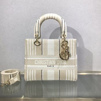 DIOR LADY D-LITE BAG M0565 05