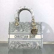 DIOR LADY D-LITE BAG M0565 011 - 1