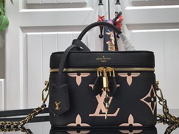 LOUIS VUITTON VANITY PM 02