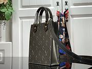 LOUIS VUITTON PETIT SAC PLAT M90564 01 - 2