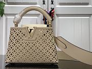 LOUIS VUITTON  CAPUCINES MINI  - 1