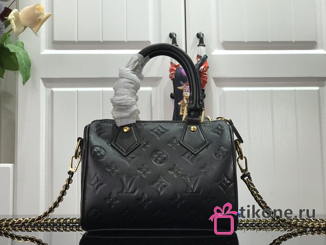 LOUIS VUITTON SPEEDY BB - 1