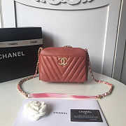 Chanel Pink  Leather Handbag 20cm - 1