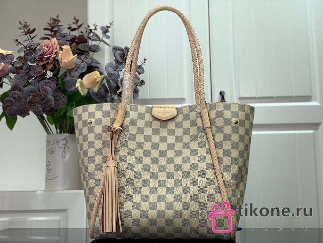 Louis Vuitton Propriaon Handbag - N44027 – 28x18x27 cm - 1