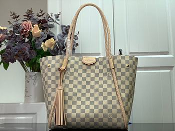 Louis Vuitton Propriaon Handbag - N44027 – 28x18x27 cm