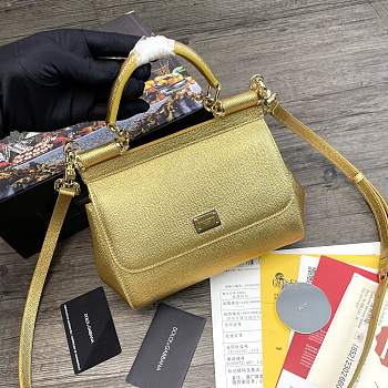 Dolce & Gabbana Dauphine Leather Sicily Bag Gold - 5518 – 20x9.5x14 cm