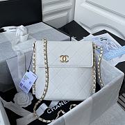 Chanel Stray Calfskin Bag White – AS2543/AS2542 - 19x23x7cm - 1