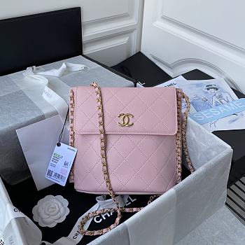 Chanel Stray Calfskin Bag Pink – AS2543/AS2542 - 19x23x7cm