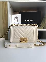 CHANEL 18 LEBOY BAG 67085 20CM - 1