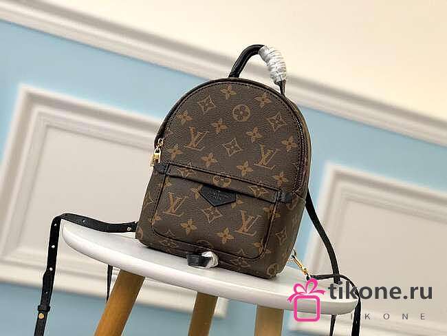 Louis Vuitton Palm Springs Mini Backpack - 15×22×9cm - 1
