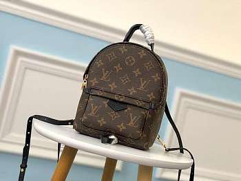 Louis Vuitton Palm Springs Mini Backpack - 15×22×9cm