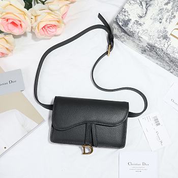 DIOR BELT BAG 17CM