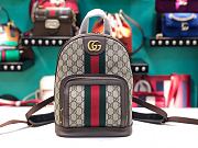 Gucci Supreme Monogram Small Ophidia - 24×30×14cm - 1