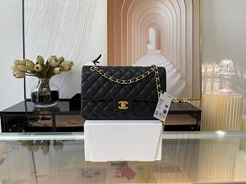 Chanel Flap Lambskin Leather Bag 25cm