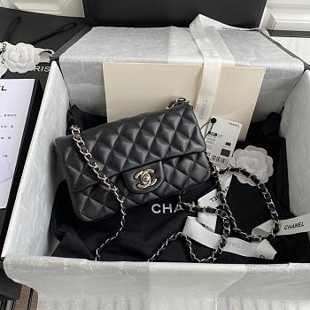 Chanel Flap bag 20cm lambskin