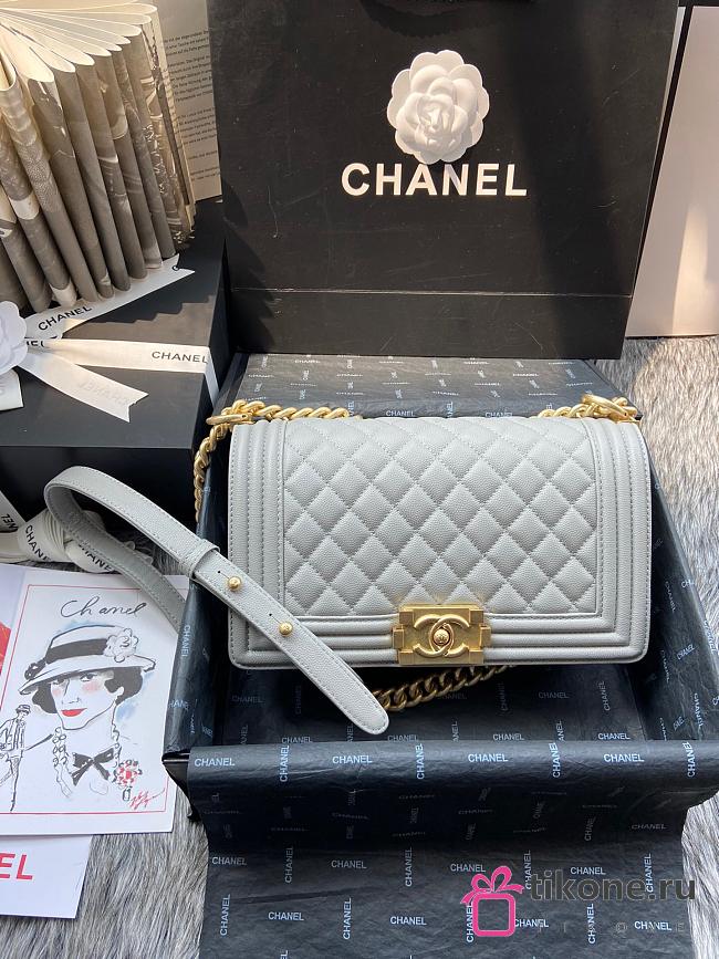 Chanel Leboy bag 70603 - 1