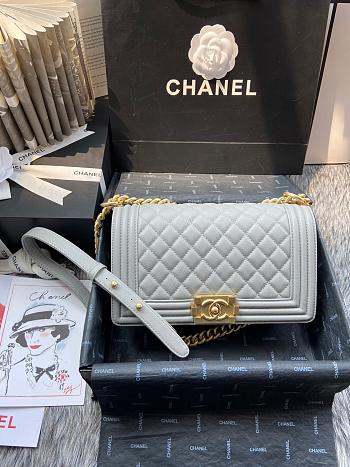 Chanel Leboy bag 70603