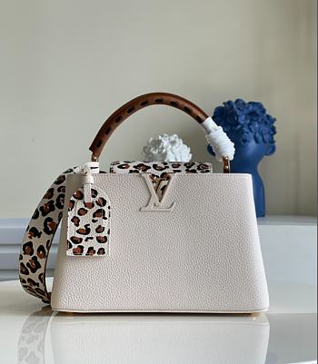 Louis Vuitton Capucines MM Handbags M58575