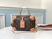 Louis Vuitton Petite Malle Souple M45531 - 1