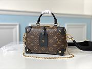 Louis Vuitton Petite Malle Souple M45571 - 1