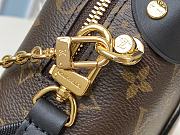 Louis Vuitton Petite Malle Souple M45571 - 5