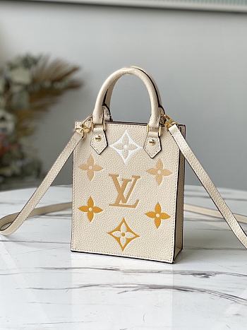 LOUIS VUITTON PETIT SAC PLAT M80449 01