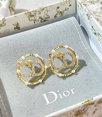 DIOR Earrings 140224F 