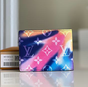 Louis Vuitton Multiple Wallet  M60895 