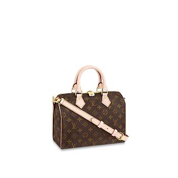 Louis Vuitton Speedy 25 M41113 