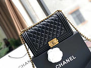 Chanel Leboy Black Goatskin 25cm - 1