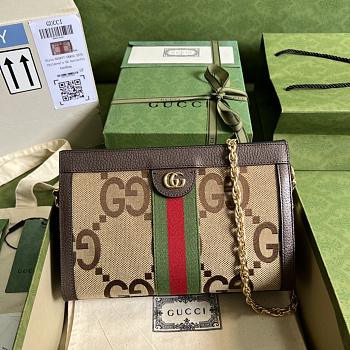 Gucci Ophidia GG Small Shoulder Bag - 26x17.5x8cm