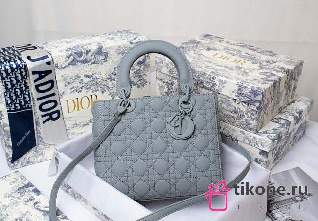 DIOR LADY 24CM - 1