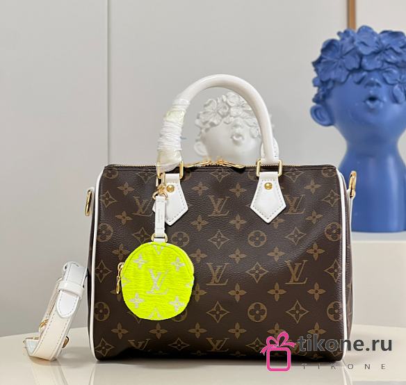 Louis Vuitton Speedy Bandoulière 25 - 1