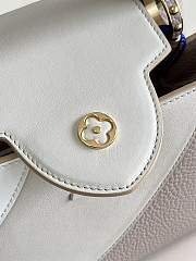 Louis Vuitton Capucines Bag M59863 27CM - 4