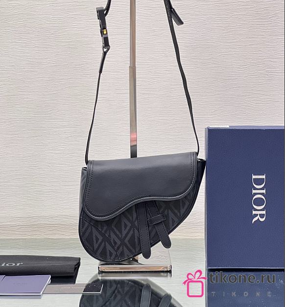 Dior CD Diamond Saddle Bag 20cm - 1