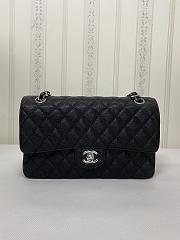 Chanel Flap Bag 25CM - 1