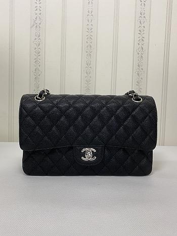 Chanel Flap Bag 25CM