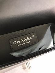 Chanel Leboy Lambskin 20CM - 4