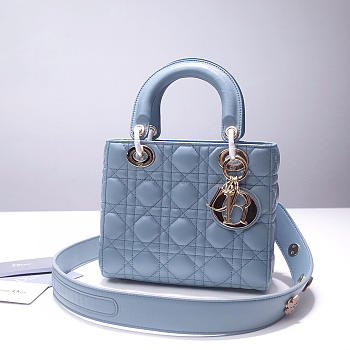 Dior Lady Bag 24CM