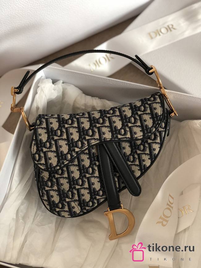 Dior Saddle Bag Mini - 17.5×16×4.5cm - 1