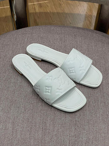 Louis Vuitton Slipper 