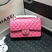 Chanel Flap Bag Lambskin Bag 25CM - 1