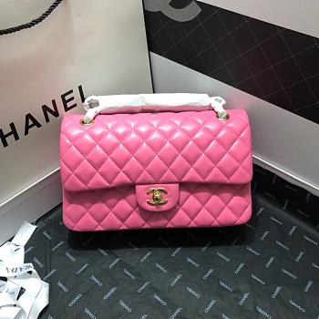Chanel Flap Bag Lambskin Bag 25CM